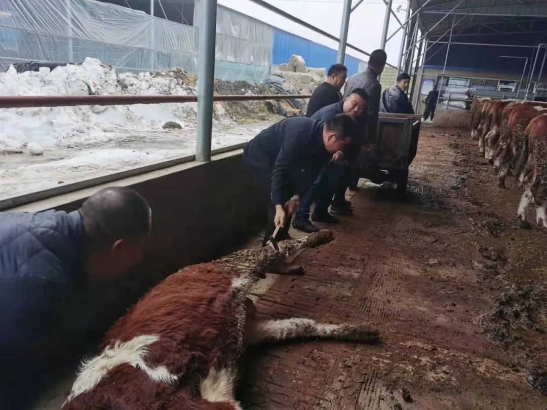 pg�ͽ�Ů��(�ٷ���)�ƽ�/����/���ֹٷ���վ