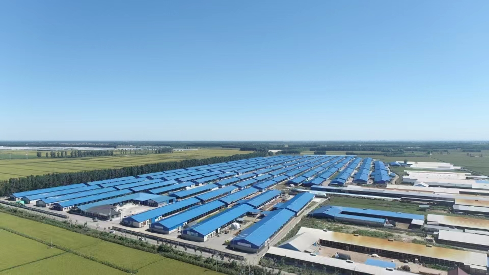 pg�ͽ�Ů��(�ٷ���)�ƽ�/����/���ֹٷ���վ