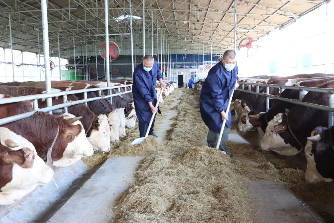 pg�ͽ�Ů��(�ٷ���)�ƽ�/����/���ֹٷ���վ