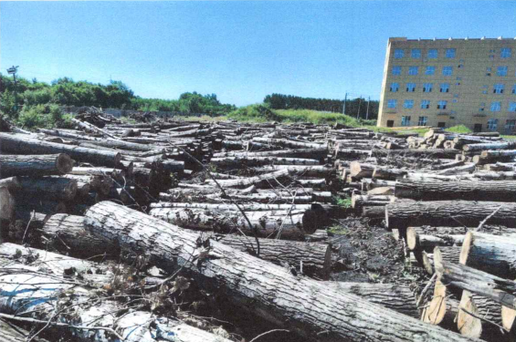 pg�ͽ�Ů��(�ٷ���)�ƽ�/����/���ֹٷ���վ