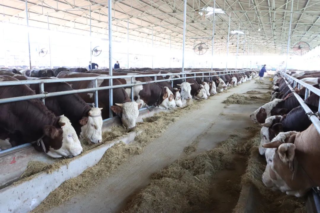 pg�ͽ�Ů��(�ٷ���)�ƽ�/����/���ֹٷ���վ