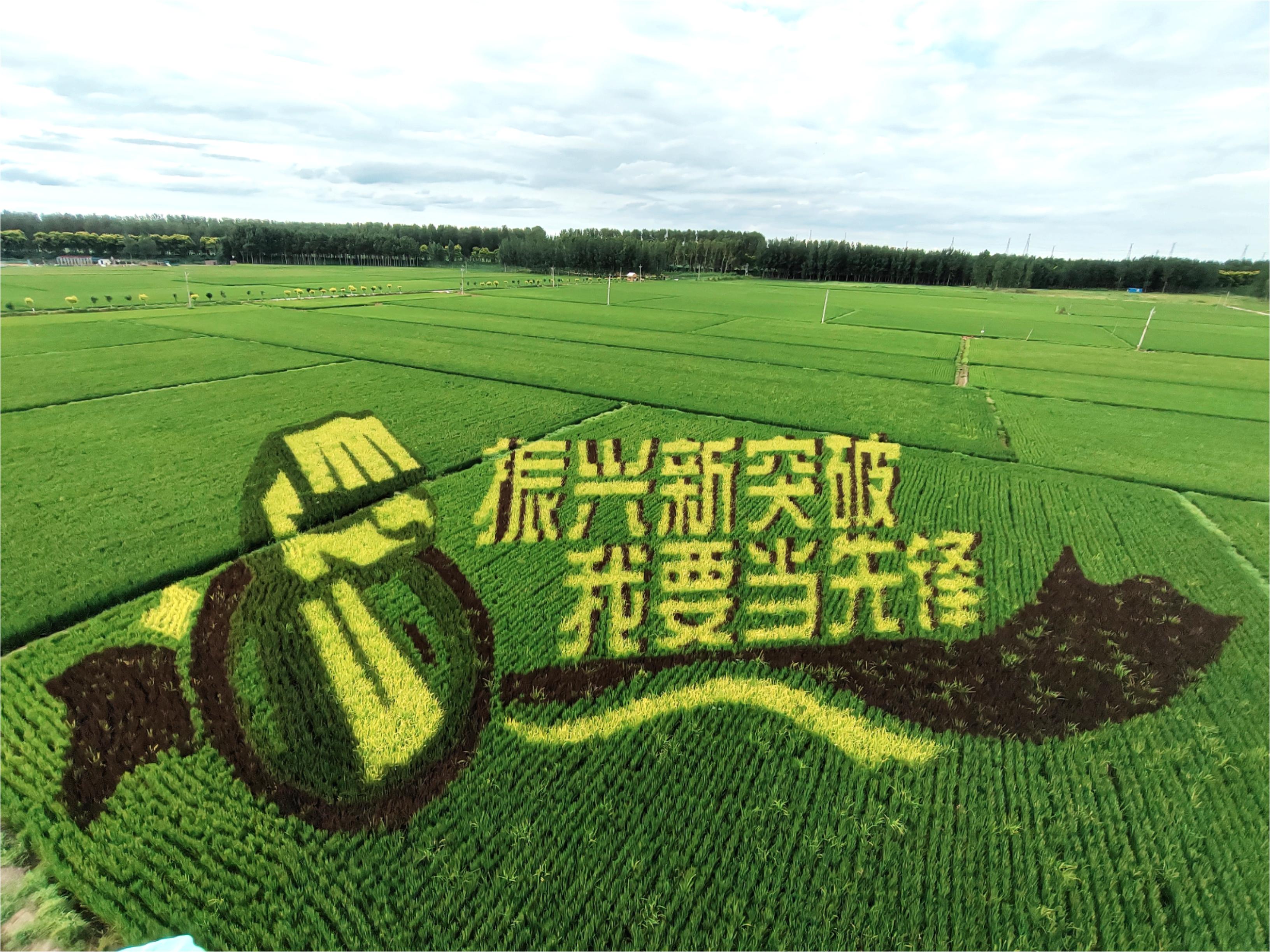 pg�ͽ�Ů��(�ٷ���)�ƽ�/����/���ֹٷ���վ