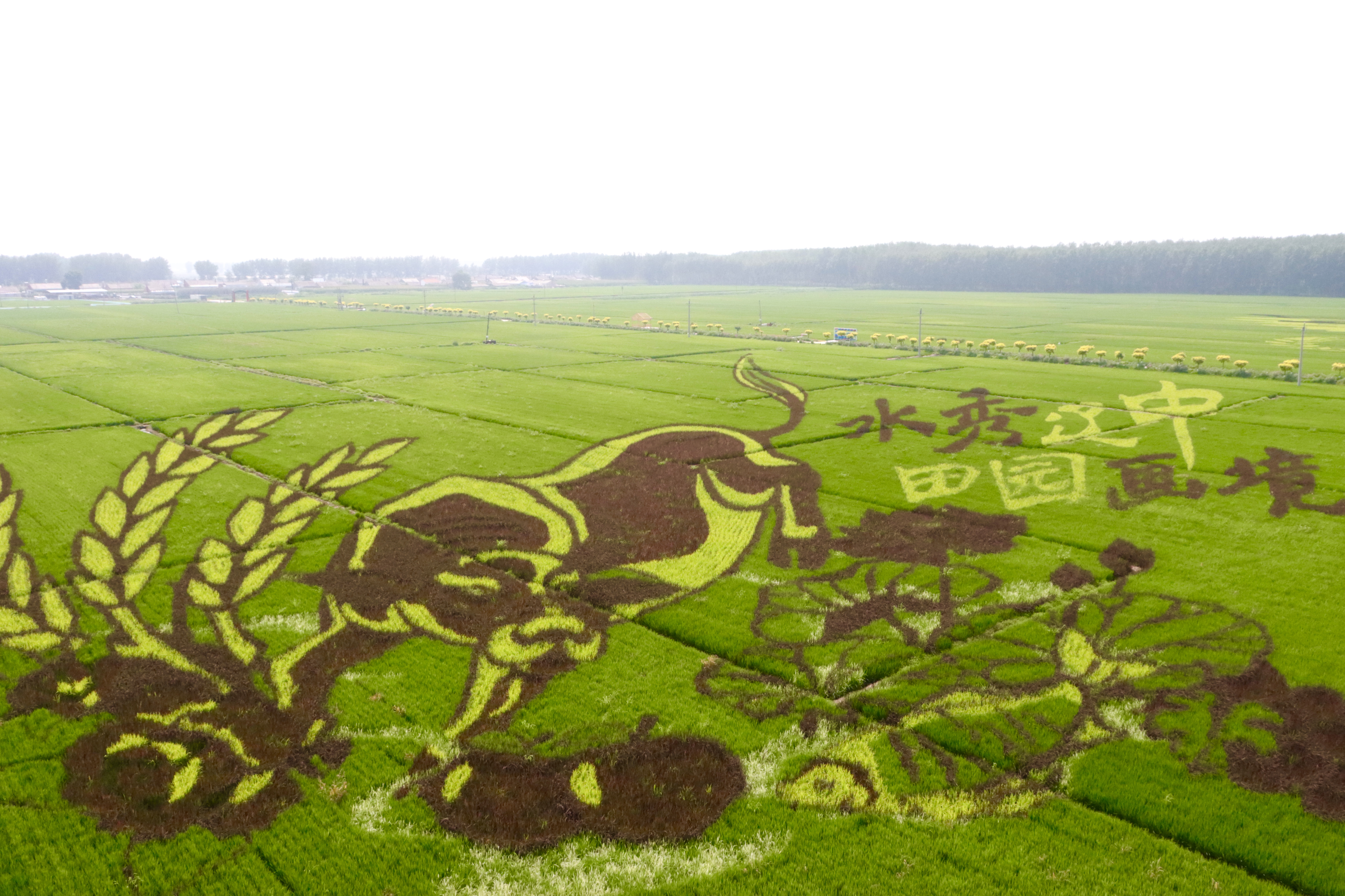 pg�ͽ�Ů��(�ٷ���)�ƽ�/����/���ֹٷ���վ