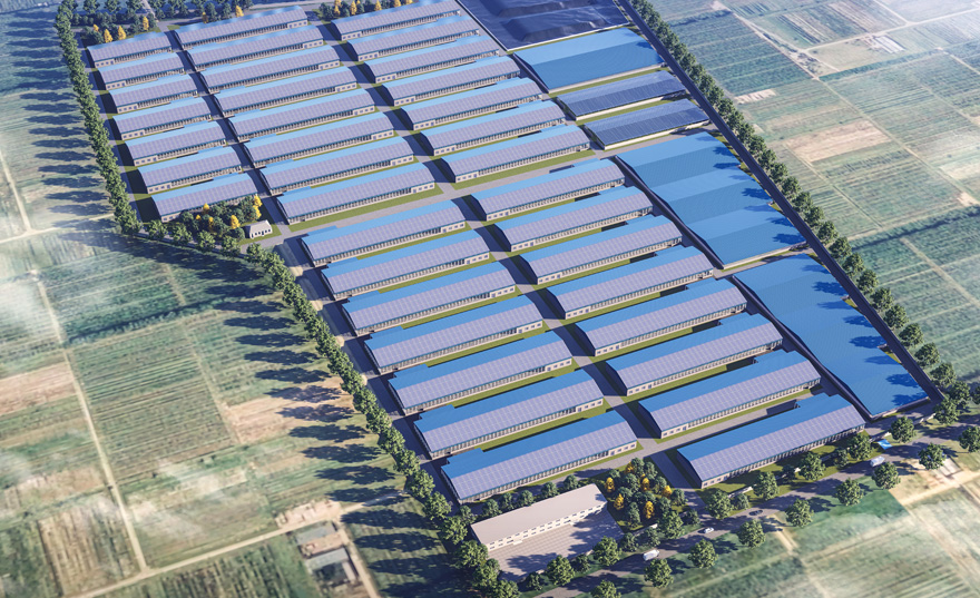 pg�ͽ�Ů��(�ٷ���)�ƽ�/����/���ֹٷ���վ